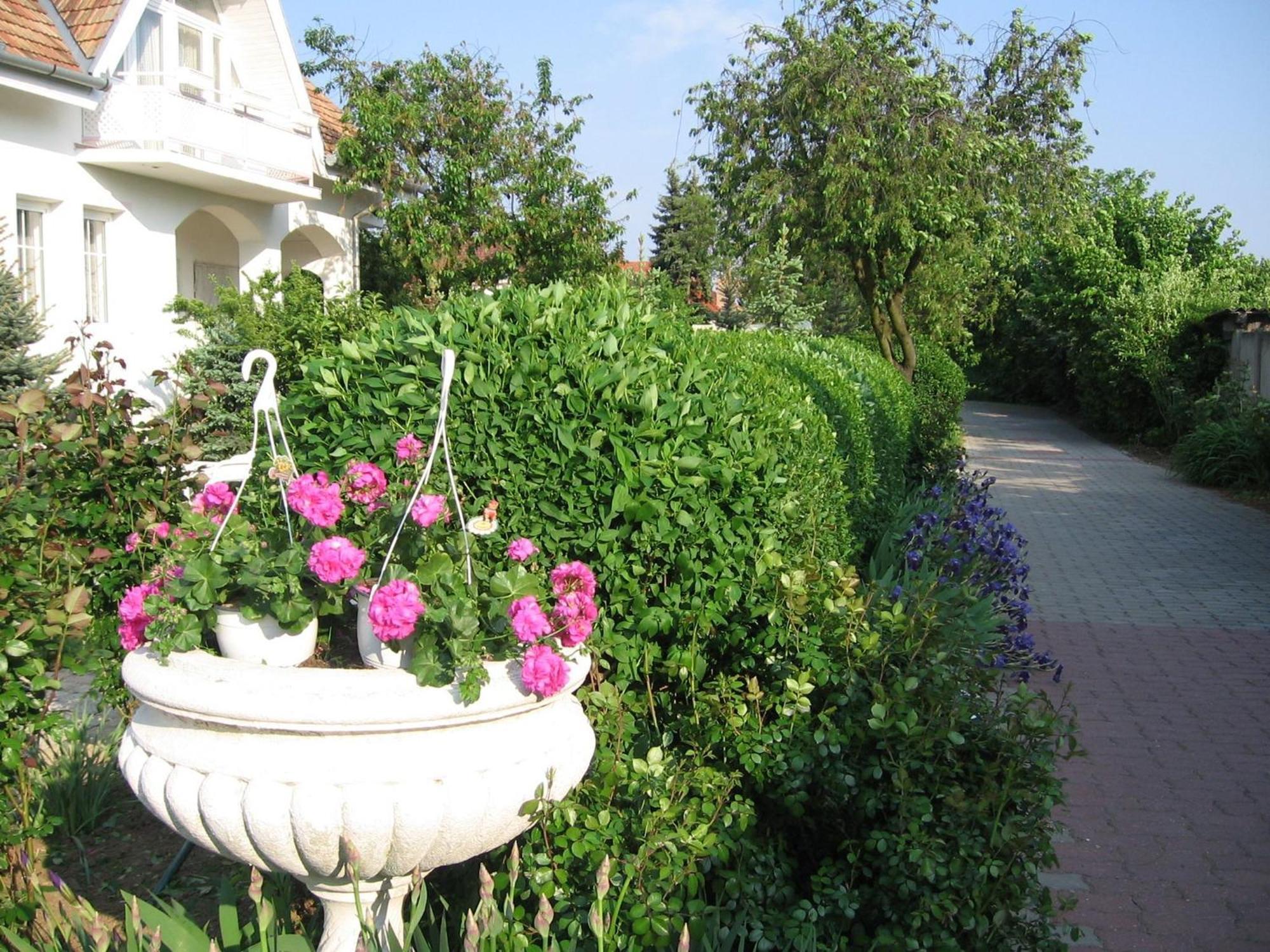 Pension Ovari Buk Exterior photo