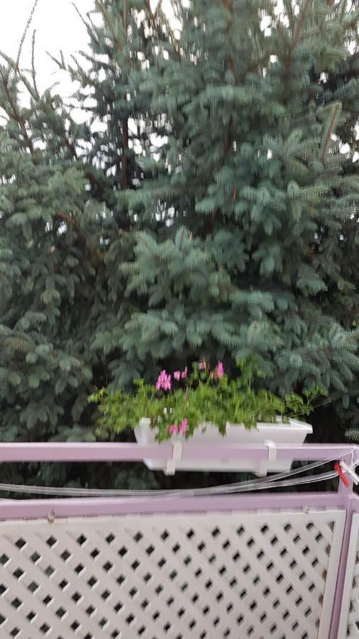 Pension Ovari Buk Exterior photo